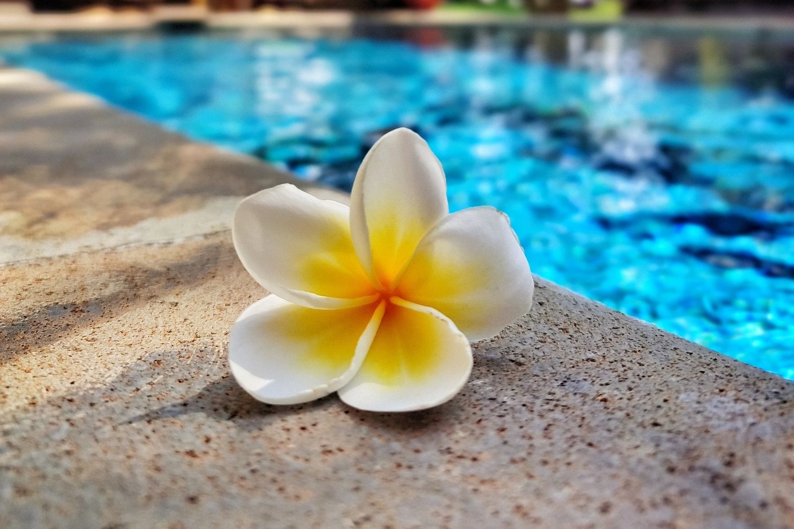 Private beachfront and built in traditional Balinese thatched roof architecture